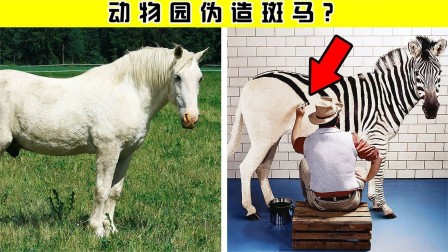 斑马新闻客户端新闻客户端app-第2张图片-太平洋在线下载