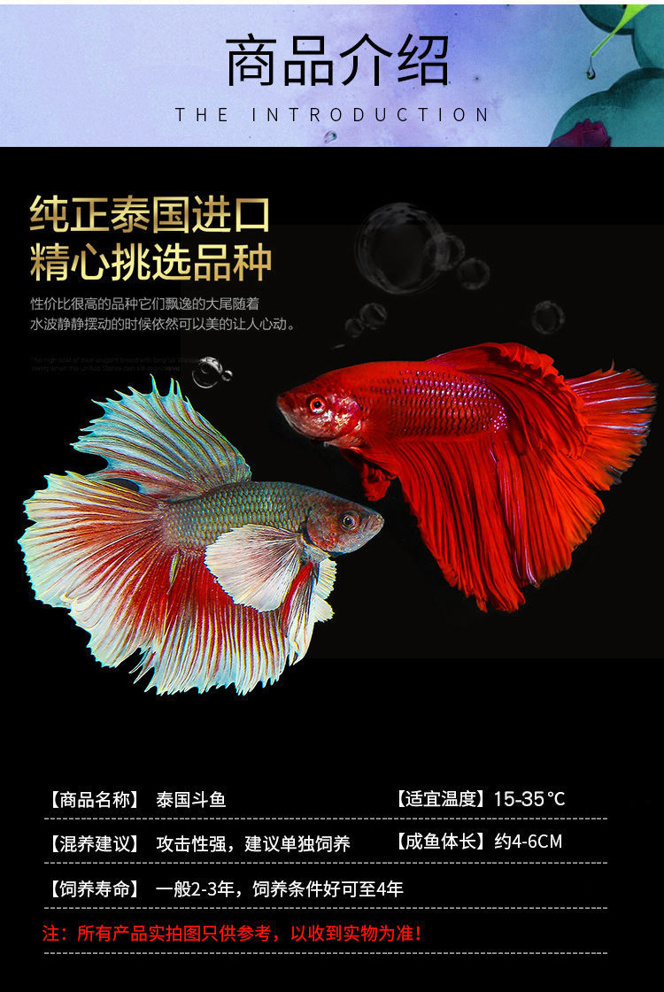 手机版斗鱼怎么找客服斗鱼账号不小心注销了能找回来吗-第2张图片-太平洋在线下载