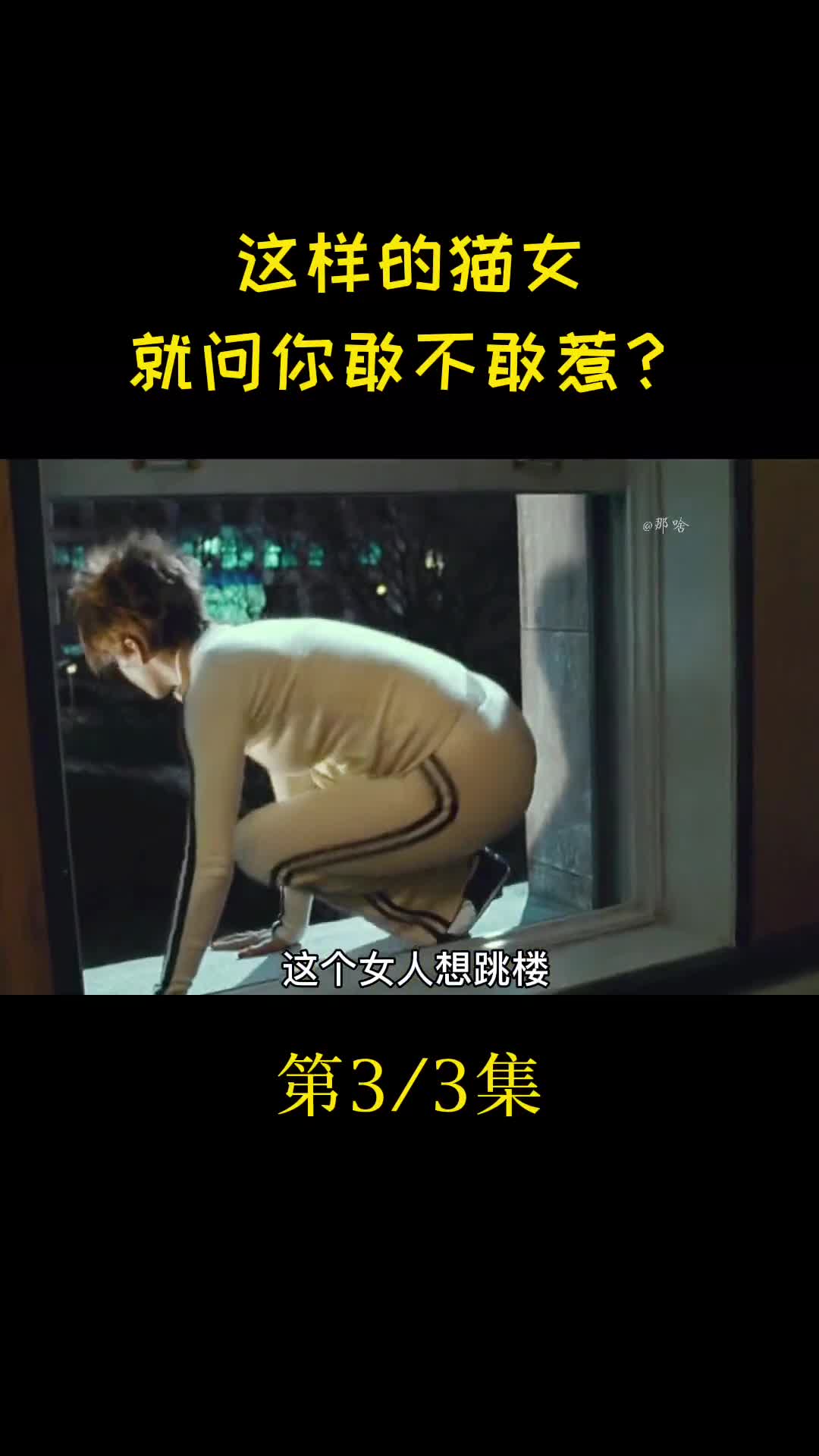 八哥电影网手机版八哥手机电影网国语版完整版-第2张图片-太平洋在线下载