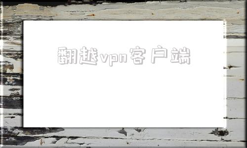 翻越vpn客户端frpsocks5代理工具反弹连接流量客户端请求